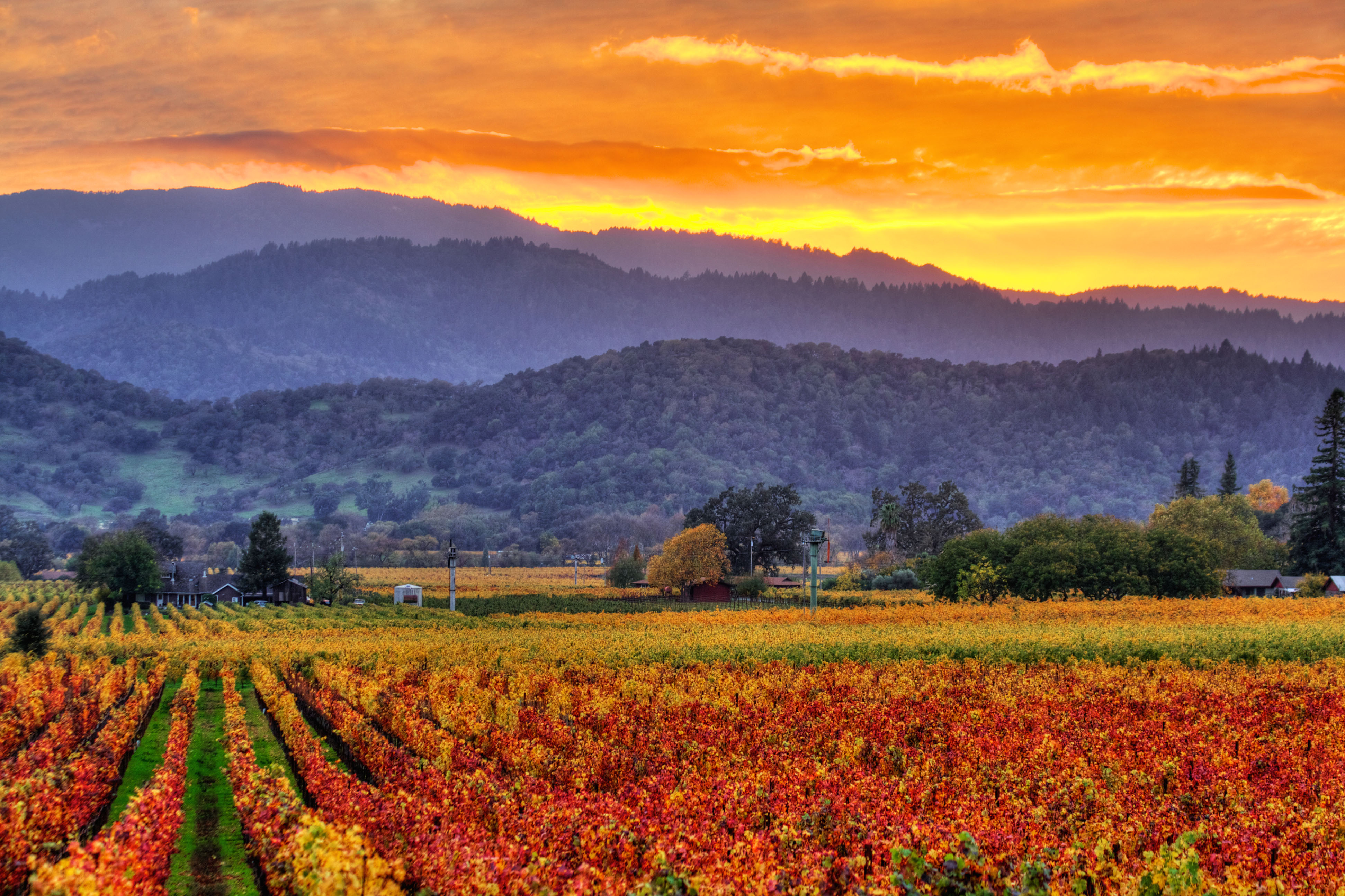 Sotheby’s International Realty® Brand Napa Valley Firm