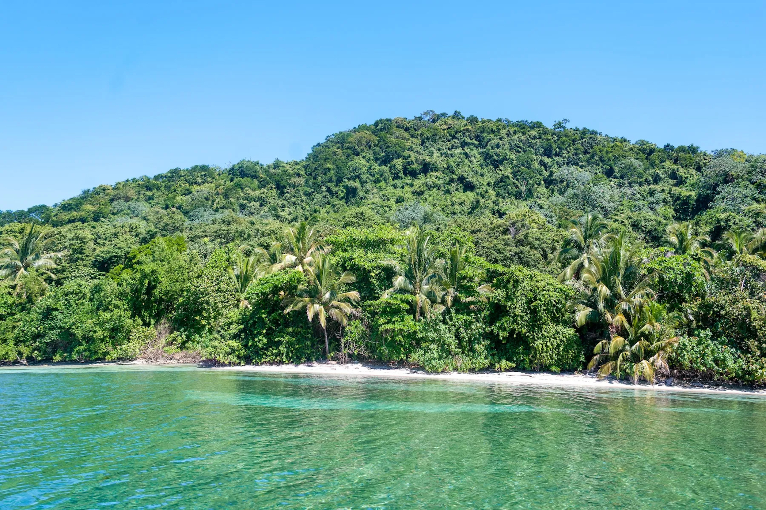 Here’s Why You Need a Biodiverse Home