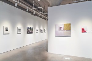 an exhibition of fine art photography at Sotheby's New York