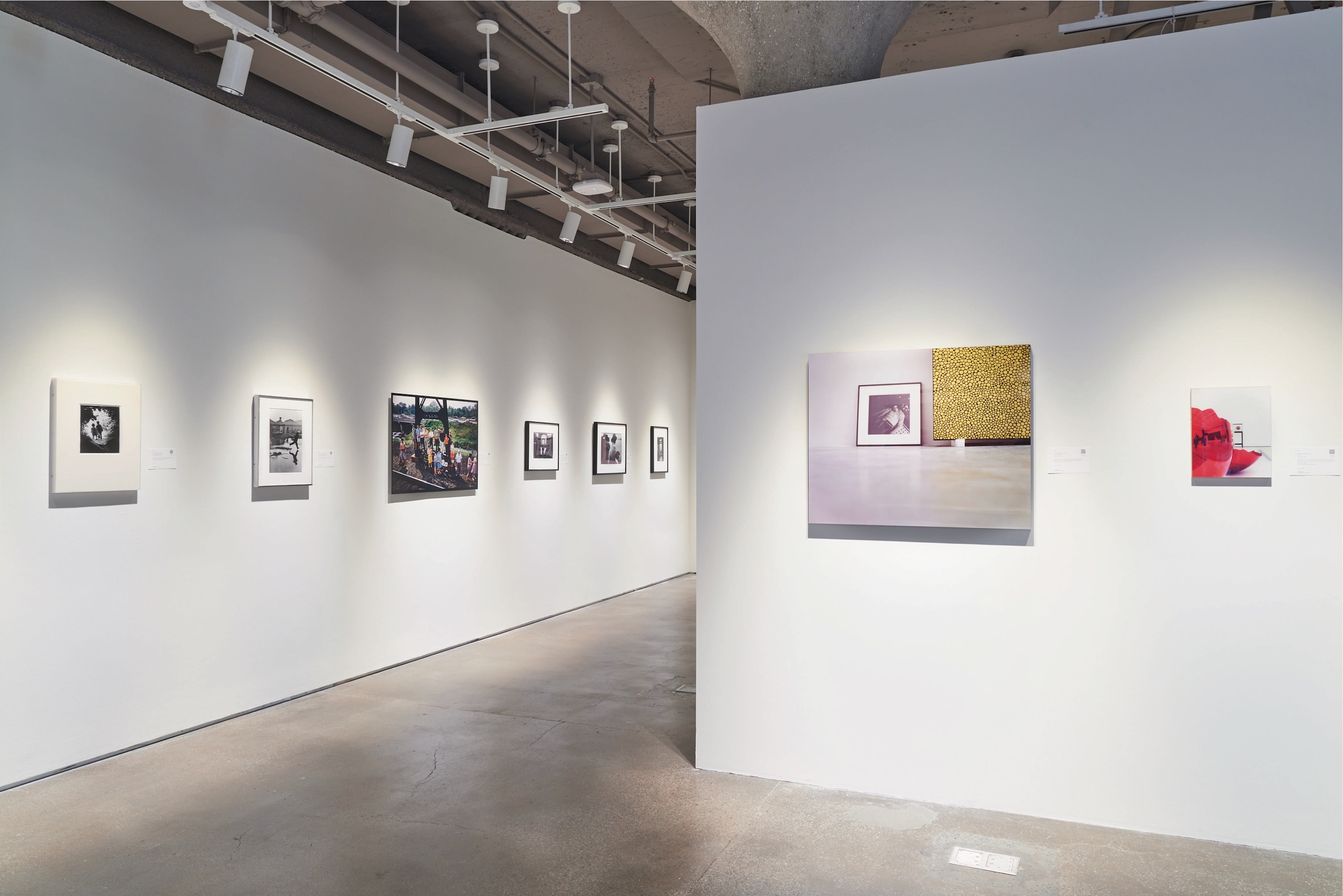 Collecting Focus: Fine Art Photography
