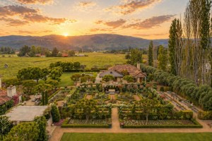 Vineyard estate in Napa Valley, California