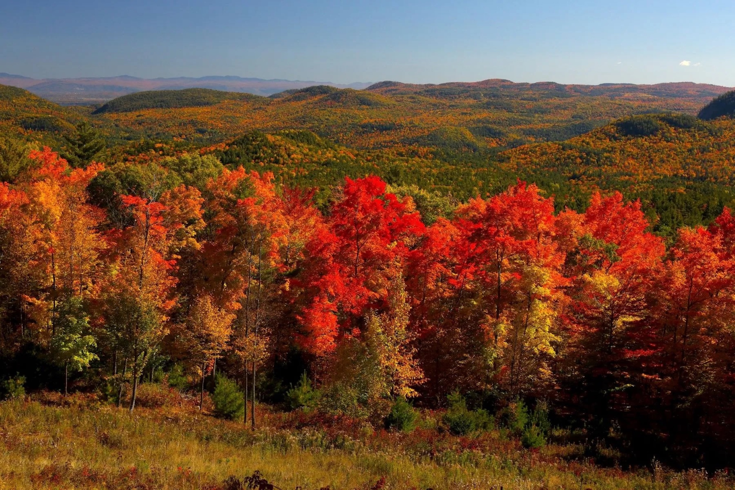 The Best Places in the World to Enjoy Fall Foliage
