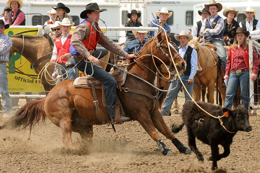STEAMBOAT SPRINGS PRO RODEO SERIES MOVING AHEAD FOR SUMMER SEASON