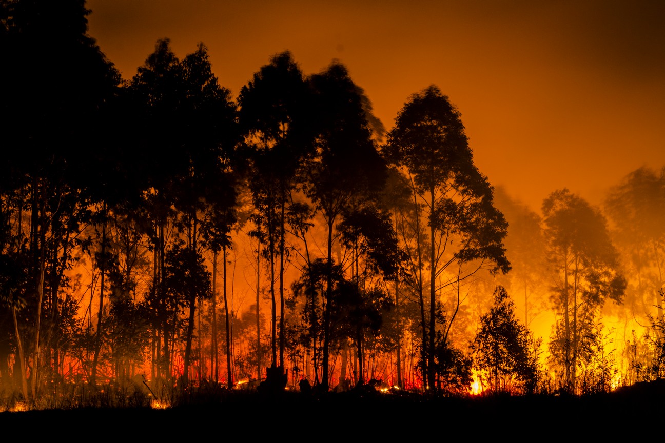 ON FIRE