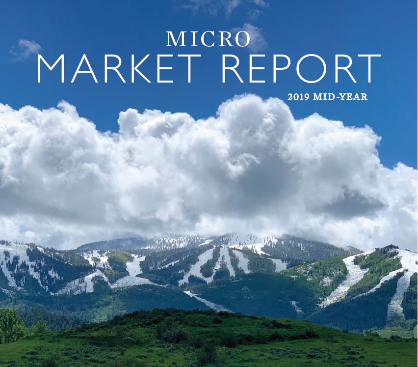 2019 MID-YEAR MICRO MARKET REPORTS ARE HERE!