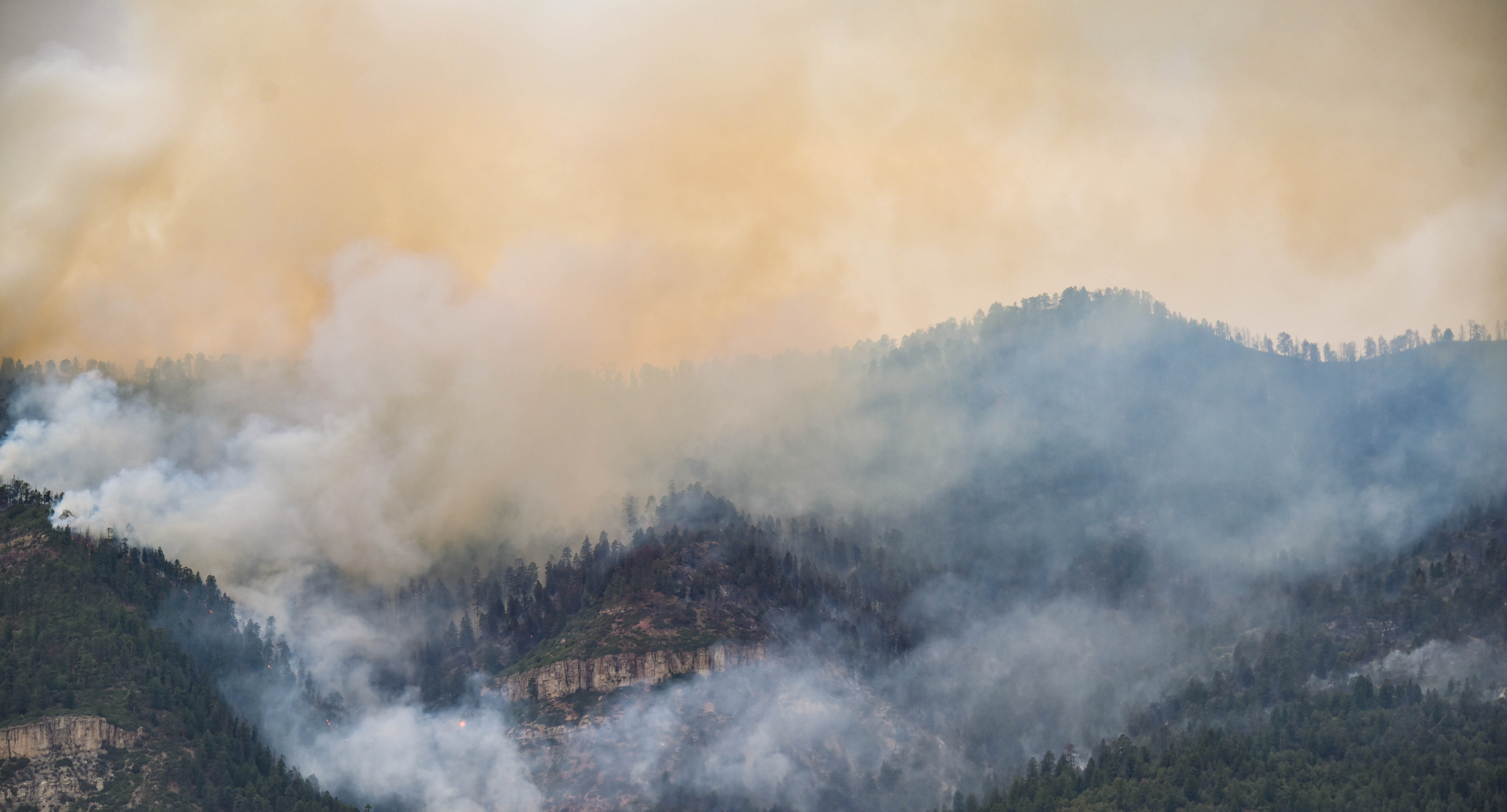 FIRE PROOF: 4 WAYS TO PROTECT YOUR HOME FROM WILDFIRES