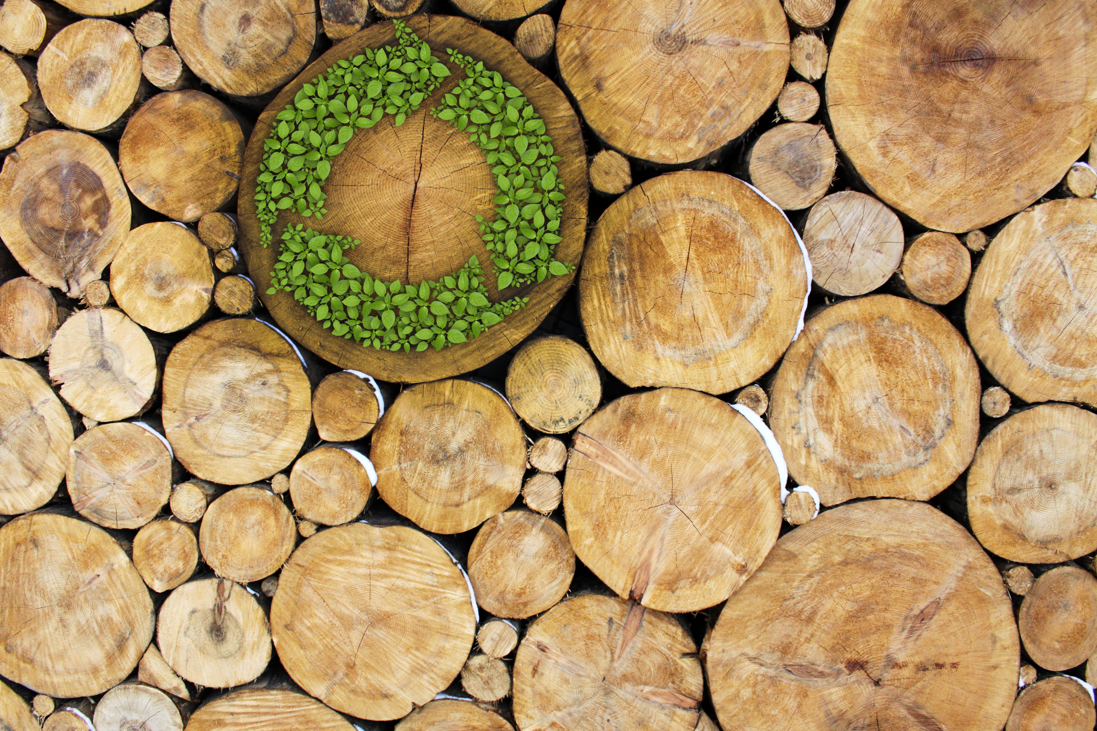 BUILDING GREEN: A GUIDE TO LOCALLY SOURCED MATERIALS