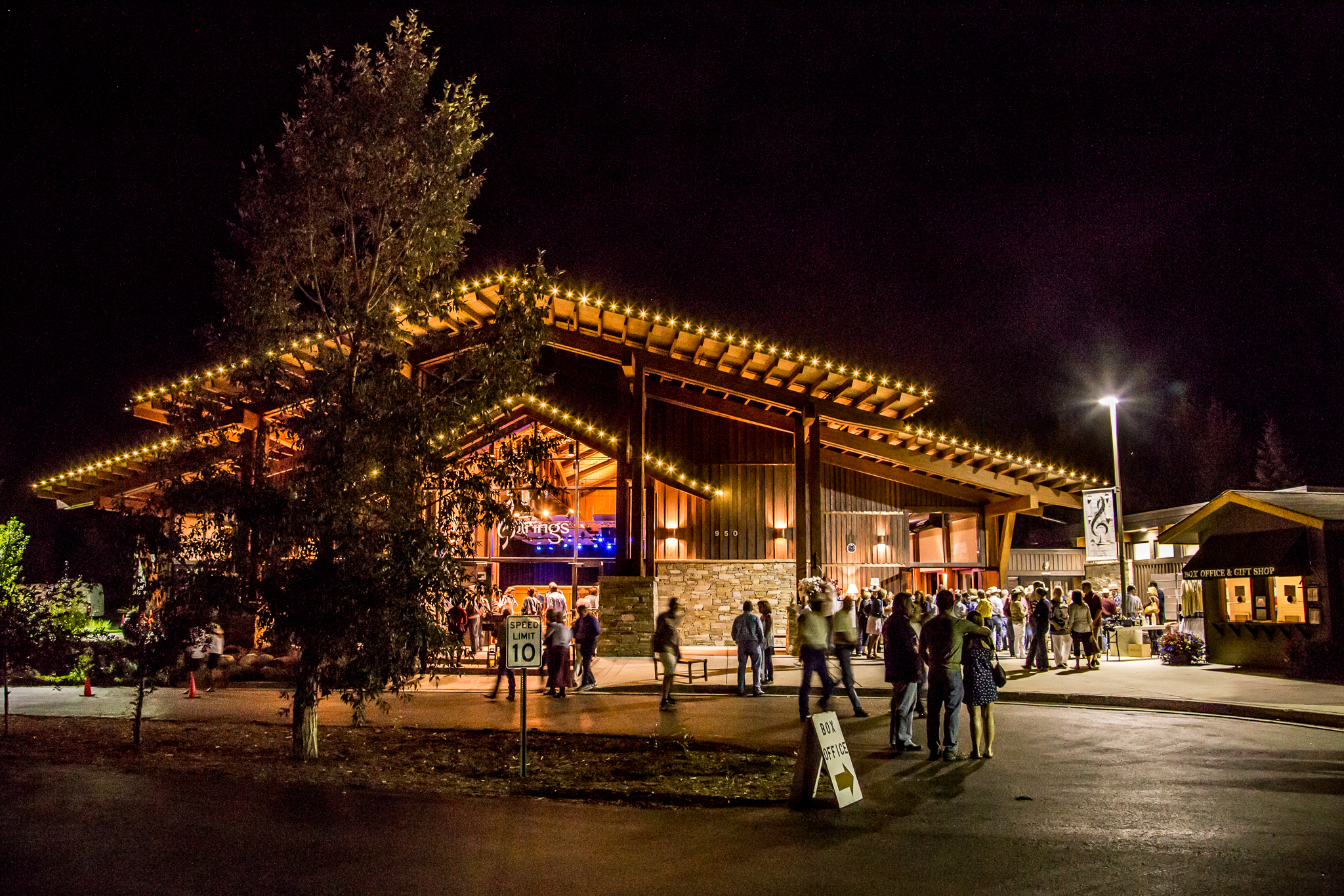 NO STRINGS ATTACHED: FOUR THINGS YOU MIGHT NOT KNOW ABOUT STRINGS MUSIC FESTIVAL