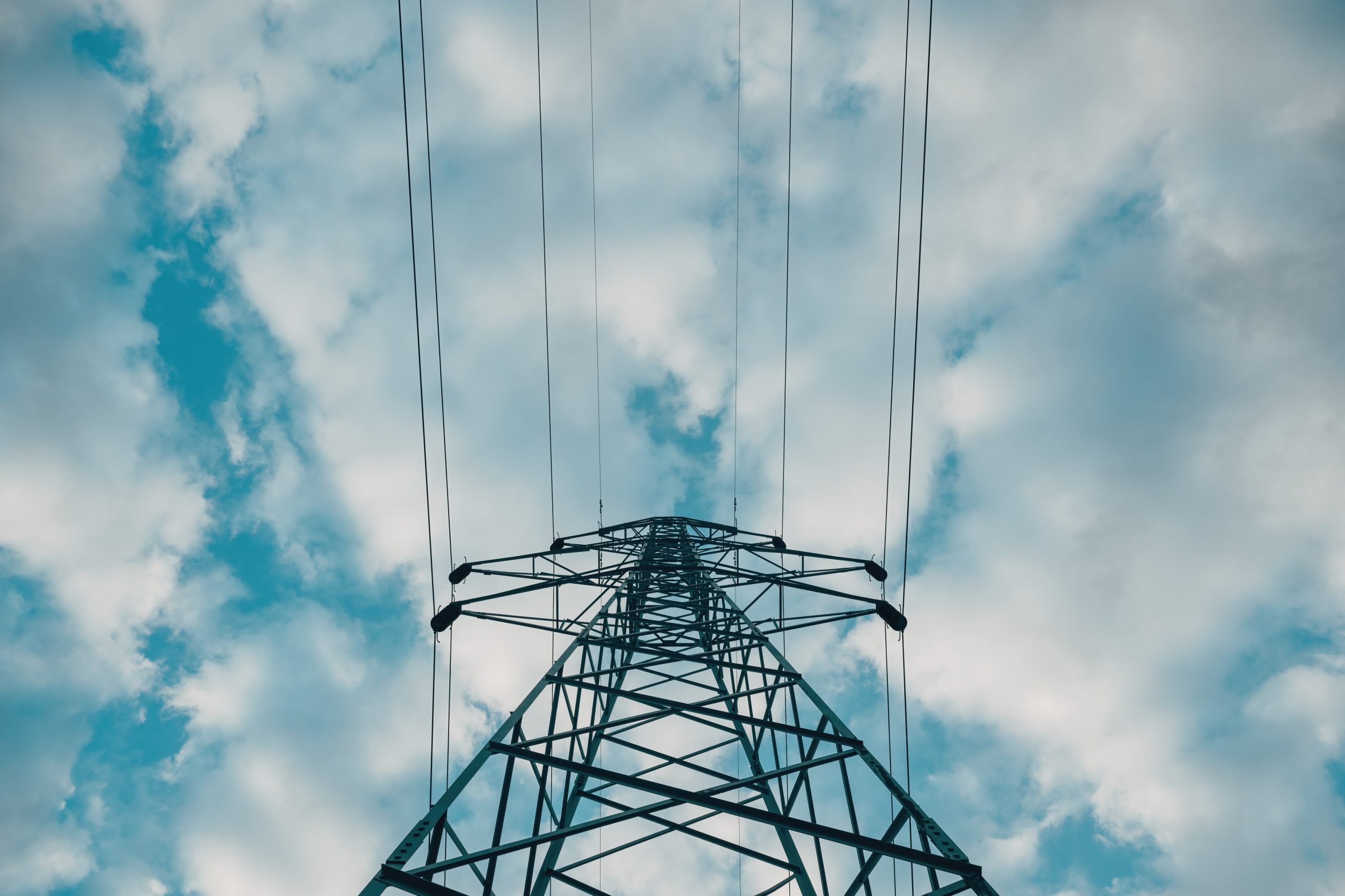 The Buzz: A Guide for Clean Energy and Beneficial Electrification