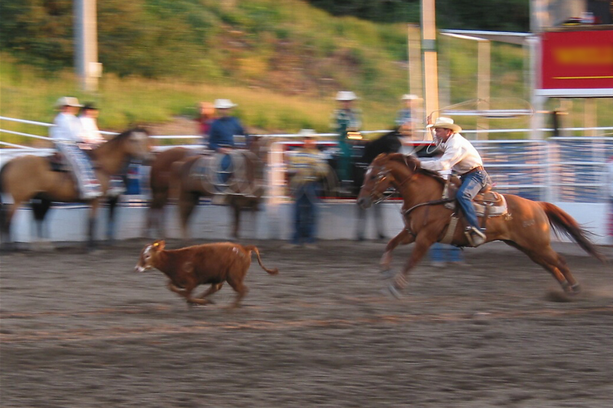 Under the Lights: Experience the Thrill of the Steamboat Springs Pro Rodeo
