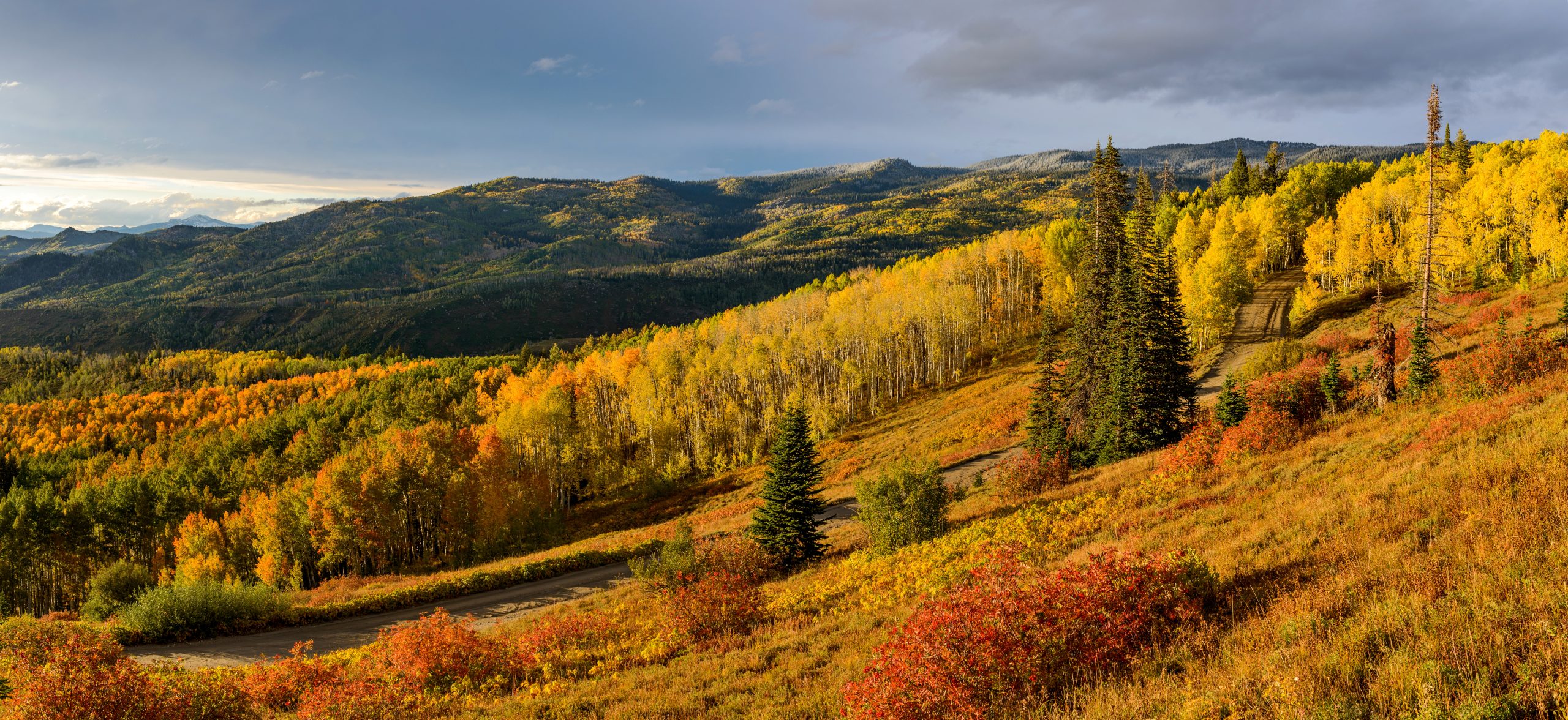 Steamboat Springs’ Autumn Vibes: Activities, Events & Scenic Adventures
