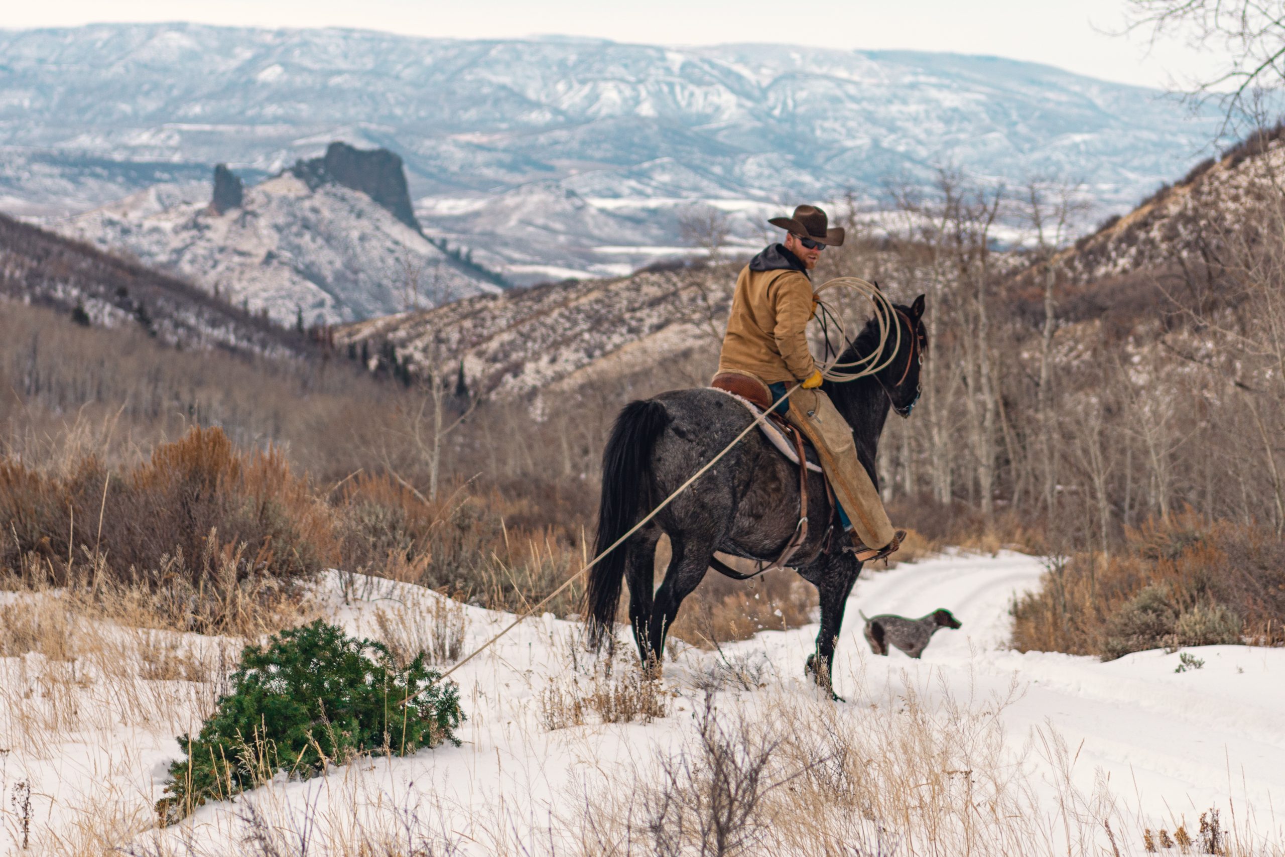 Ranching in Winter